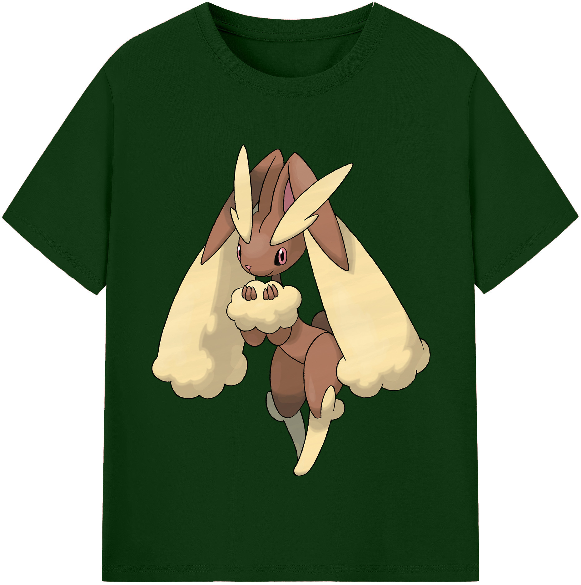 （画像用） ポケットモンスター Pokémon 綿100％半袖Tシャツ（フロントプリント）